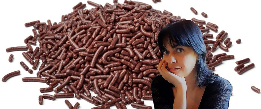 Het hagelslag-incident